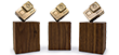 Anwendungen_Icon_3D-Trophäen